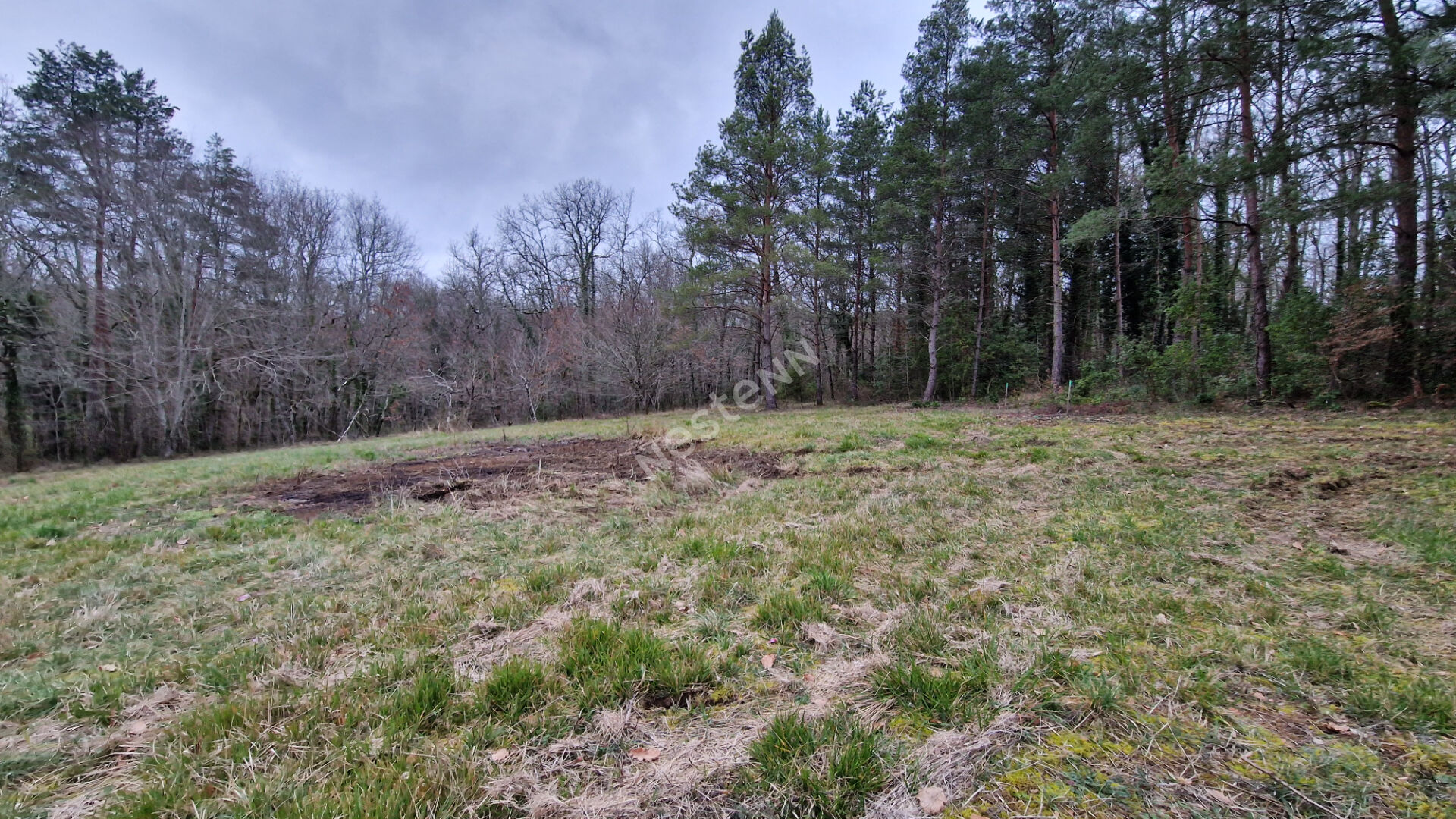Photo Opportunité Exceptionnelle : Terrain de 1 959 m² en Première Ligne, Calme et Connecté, à 15 Minutes de Bergerac ! image 5/6