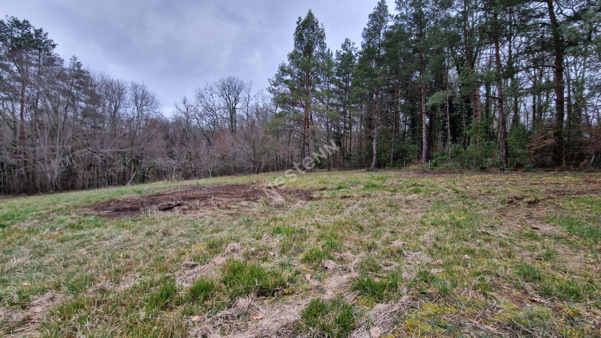 Photo Opportunité Exceptionnelle : Terrain de 1 959 m² en Première Ligne, Calme et Connecté, à 15 Minutes de Bergerac ! image 6/6