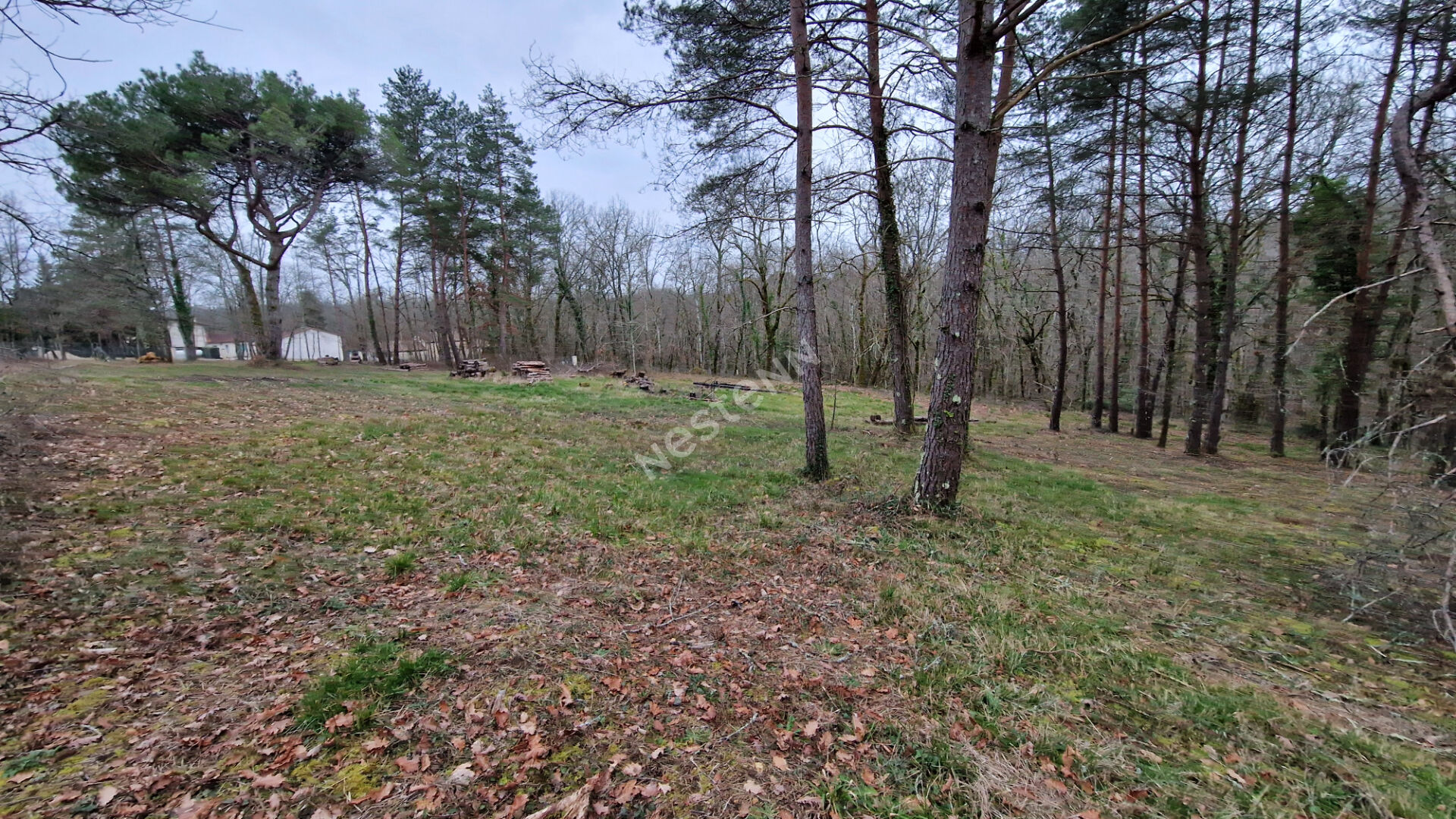Photo Terrain d'Exception de 2386 m² en Deuxième Ligne avec Bois à l'Arrière et Chemin de Randonnée, 15 Minutes de Bergerac ! image 3/6