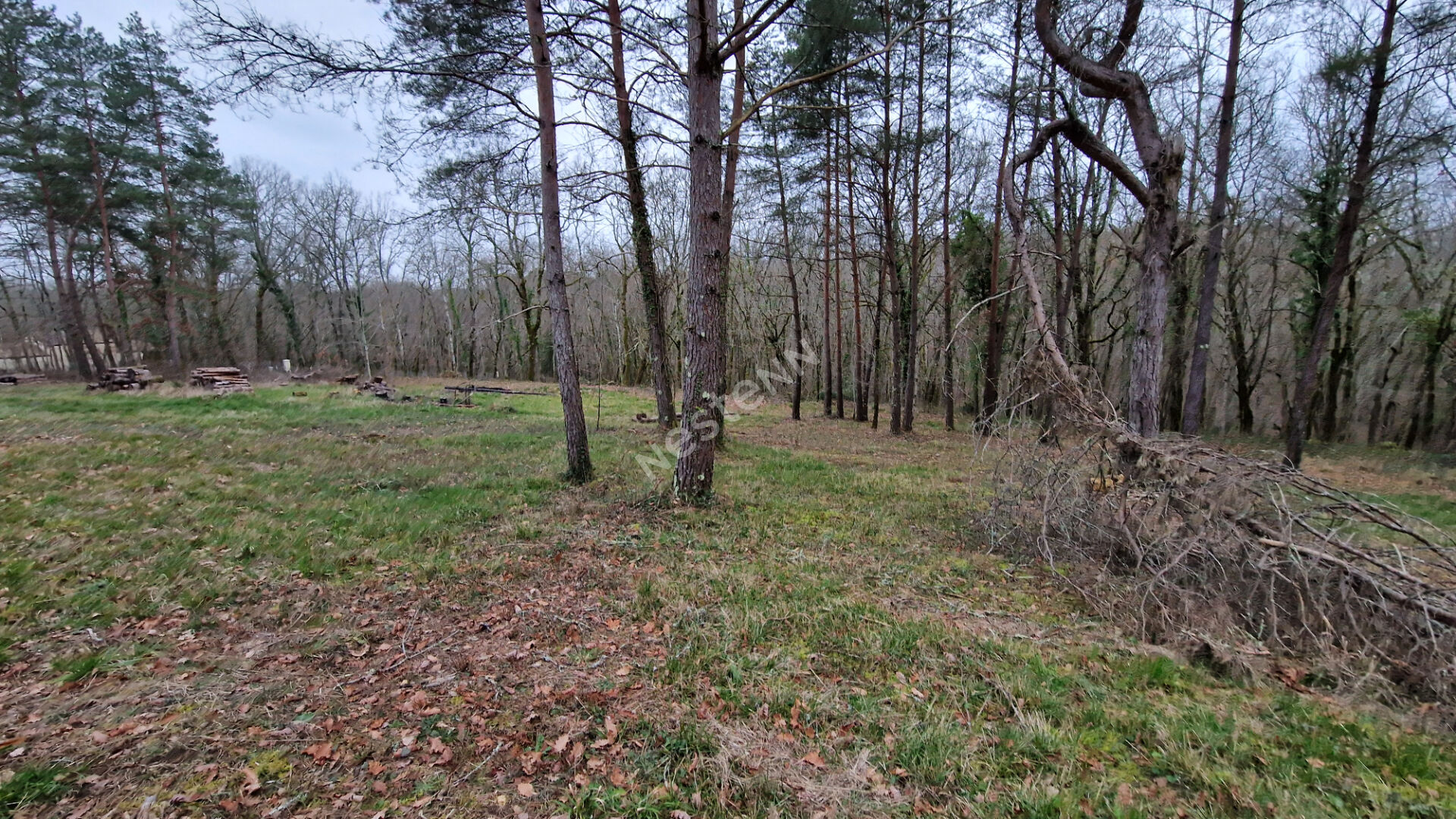 Photo Terrain d'Exception de 2386 m² en Deuxième Ligne avec Bois à l'Arrière et Chemin de Randonnée, 15 Minutes de Bergerac ! image 4/6