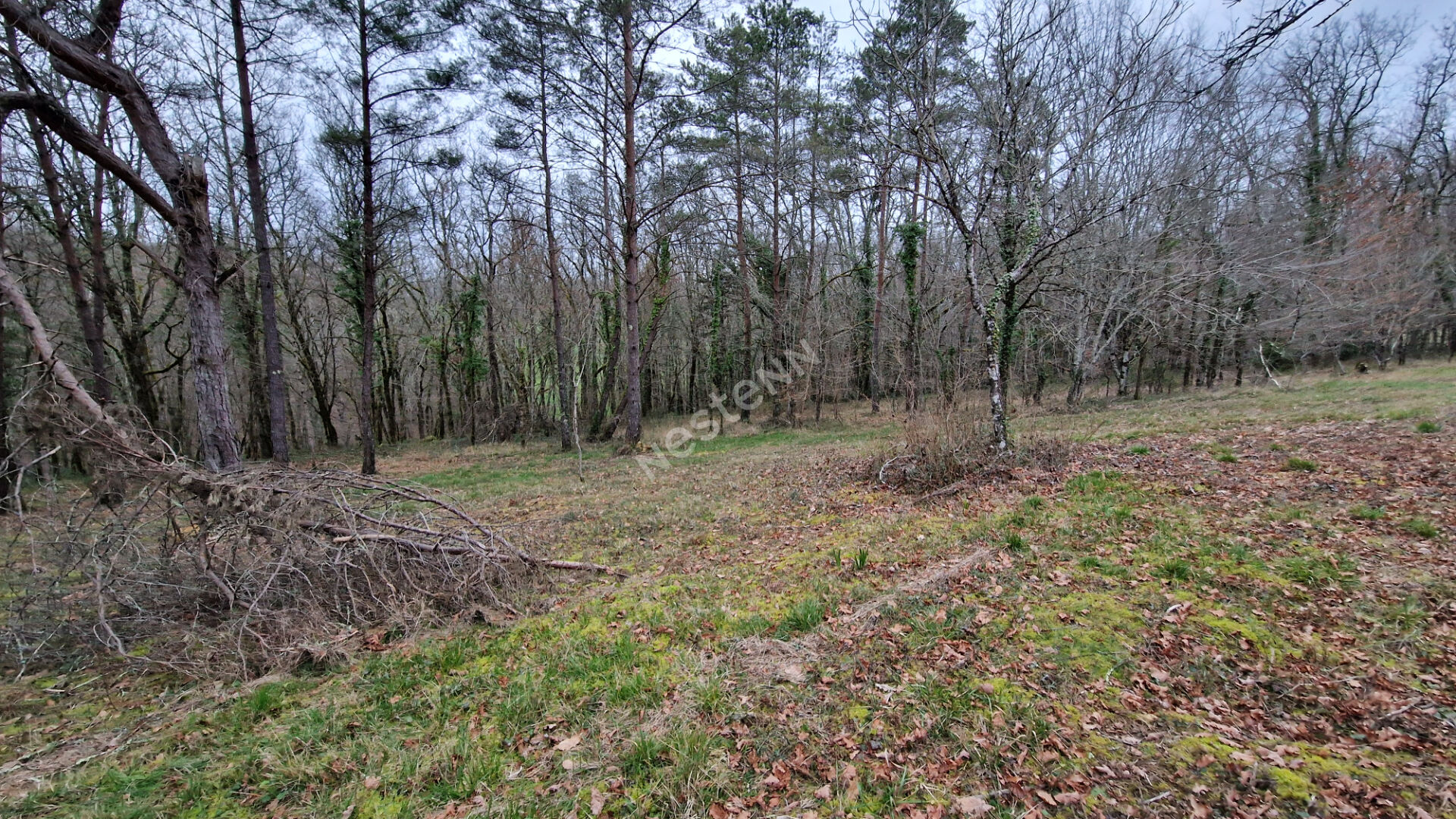 Photo Terrain d'Exception de 2386 m² en Deuxième Ligne avec Bois à l'Arrière et Chemin de Randonnée, 15 Minutes de Bergerac ! image 5/6