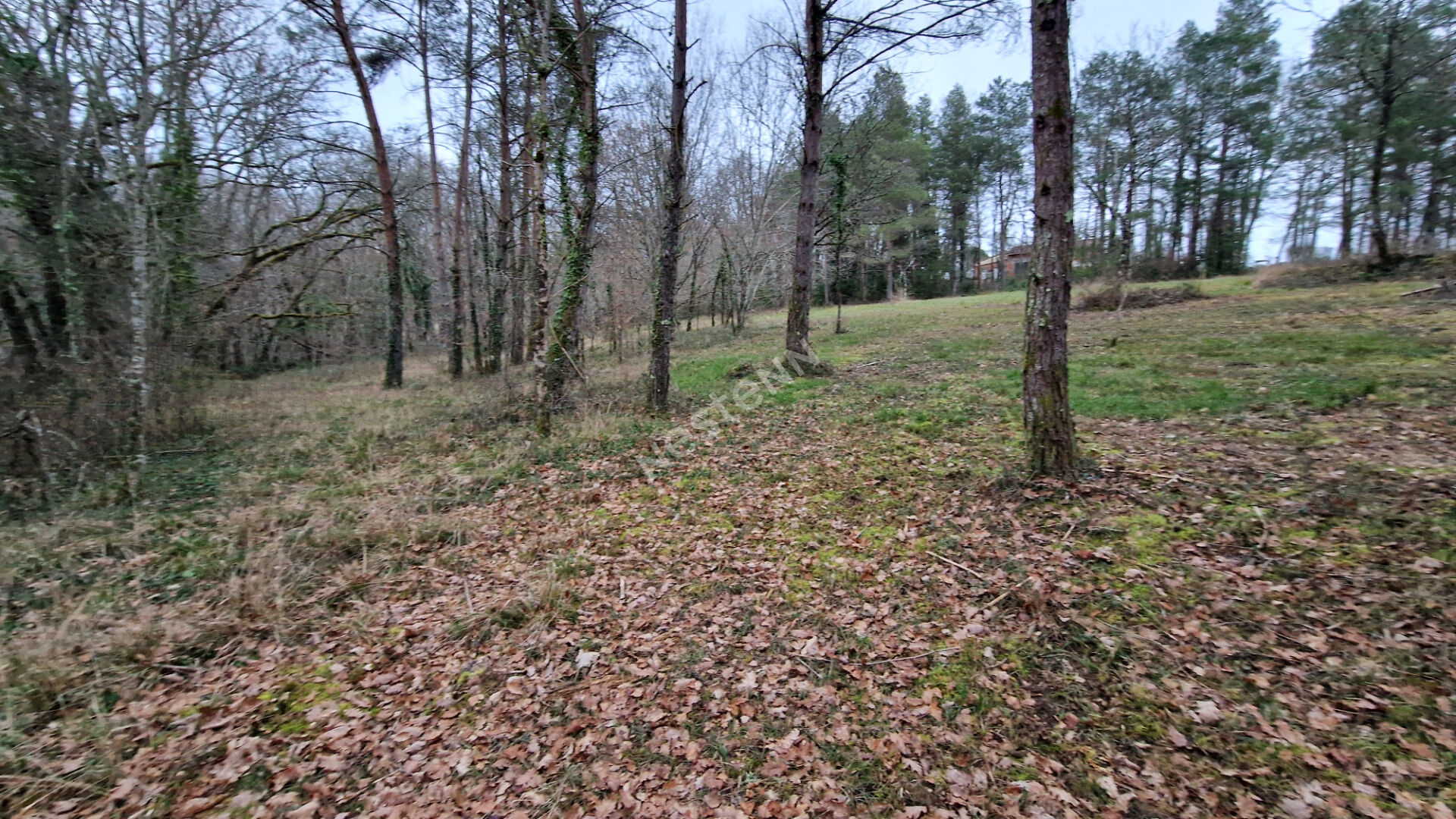 Photo Terrain d'Exception de 2386 m² en Deuxième Ligne avec Bois à l'Arrière et Chemin de Randonnée, 15 Minutes de Bergerac ! image 6/6