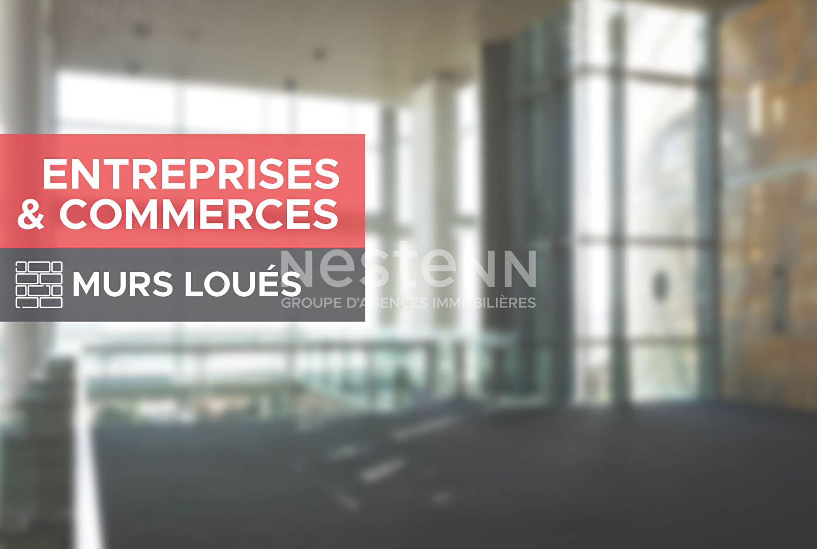 Opportunité Investisseur : Ensemble Commercial et Maison à Proximité du Zoo de Beauval et Château de la Loire