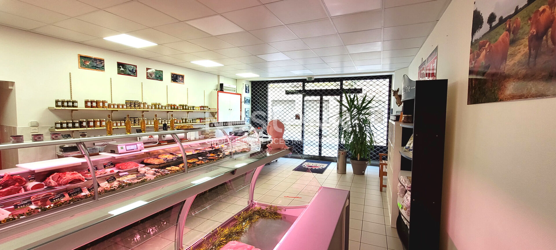 Photo Boucherie à reprendre ou transformer, Local commercial 229 m² Tous commerces image 3/6