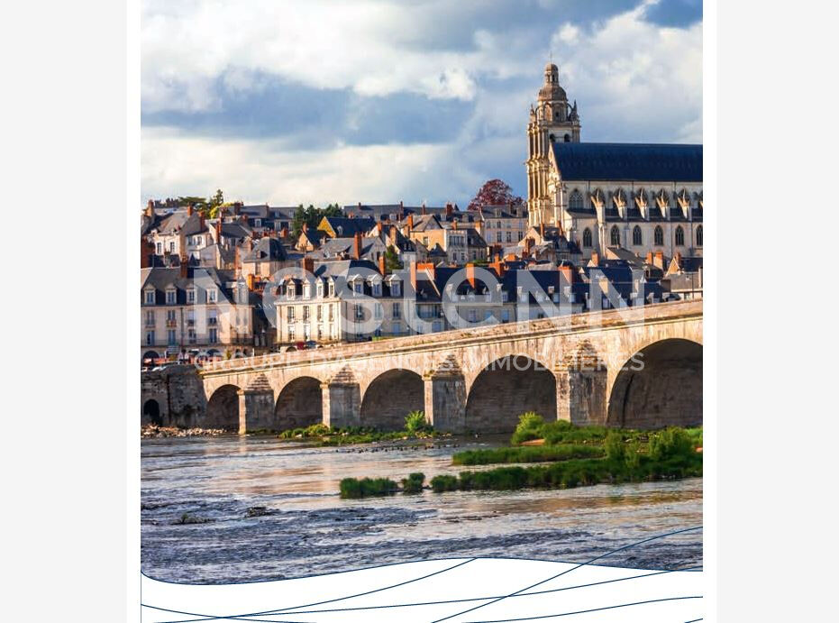 Découvrez des appartements modernes à Blois, le long du quai de l'Abbé Grégoire, lumineux avec balcons et terrasses, proches commerces, écoles et transports.