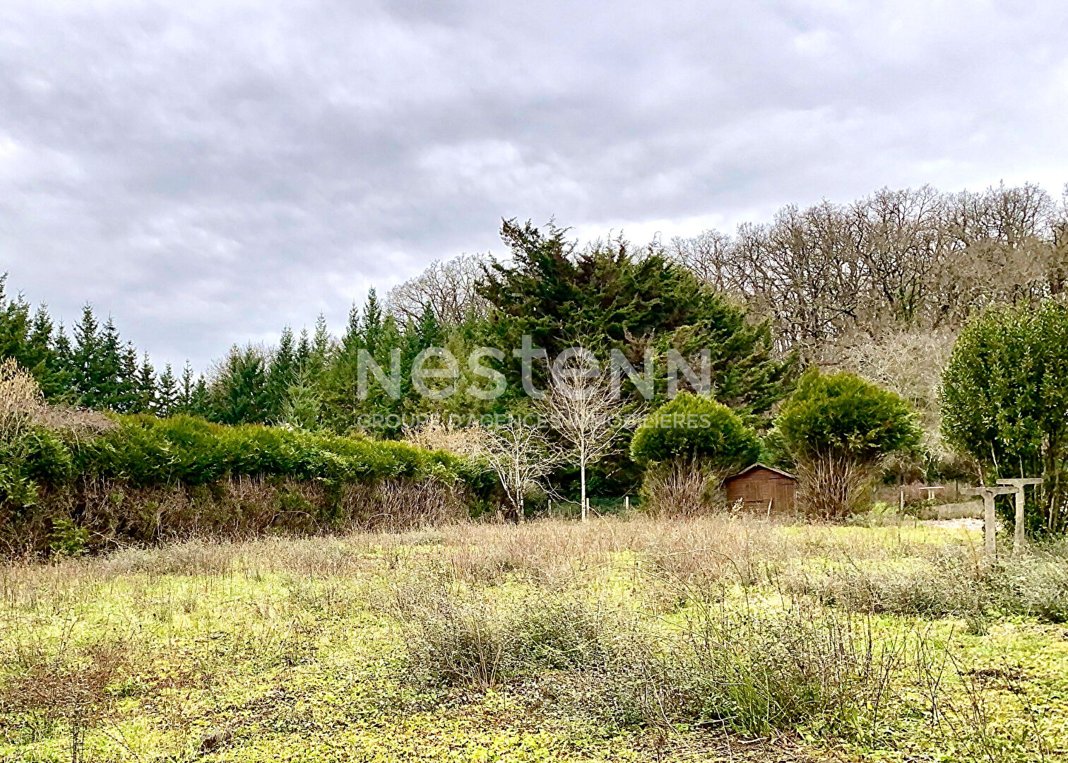 Photo Découvrez ce terrain constructible de 936 m² à Cellettes, libre de tout constructeur, au calme et proche des commerces. Viabilisation facile et projet sur-mesure possible. image 2/2