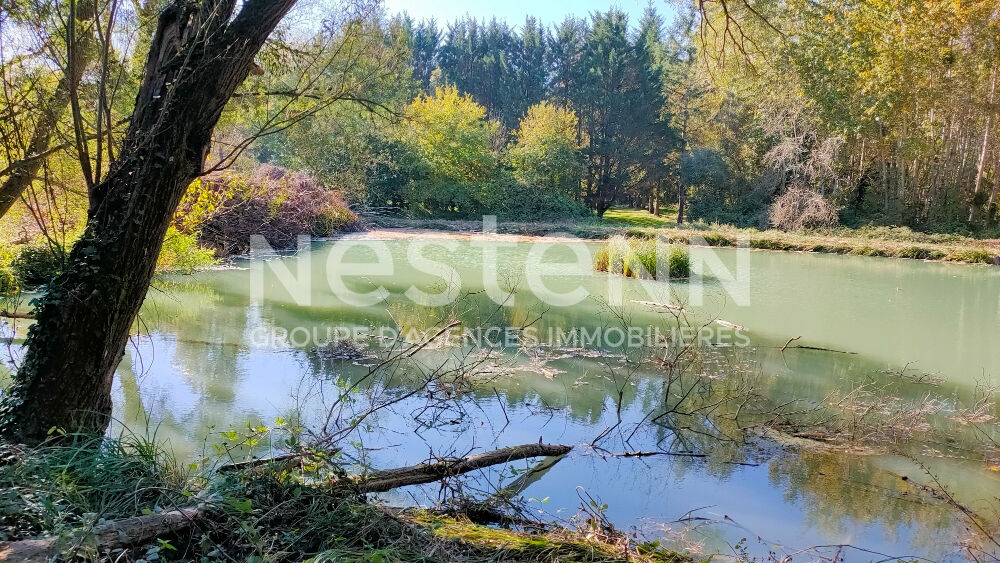 Agence immobilière de 
 NESTENN Blois - NESTENN SAINT GERVAIS LA FORET 
