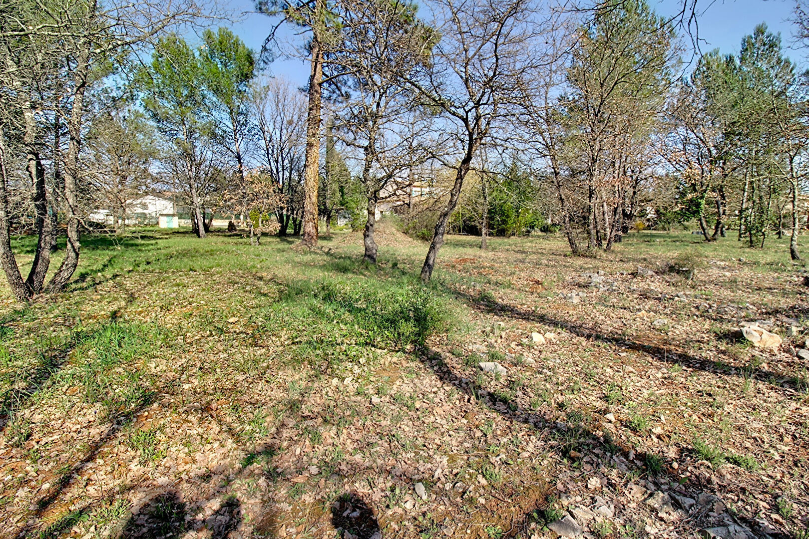 A VENDRE EN EXCLUSIVITÉ ! Terrain 702 m² à TRANS EN PROVENCE - Lot 4