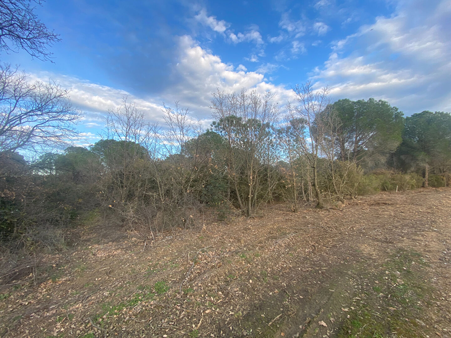Agence immobilière de Nestenn PERPIGNAN - NESTENN SAINT GENIS DES FONTAINES