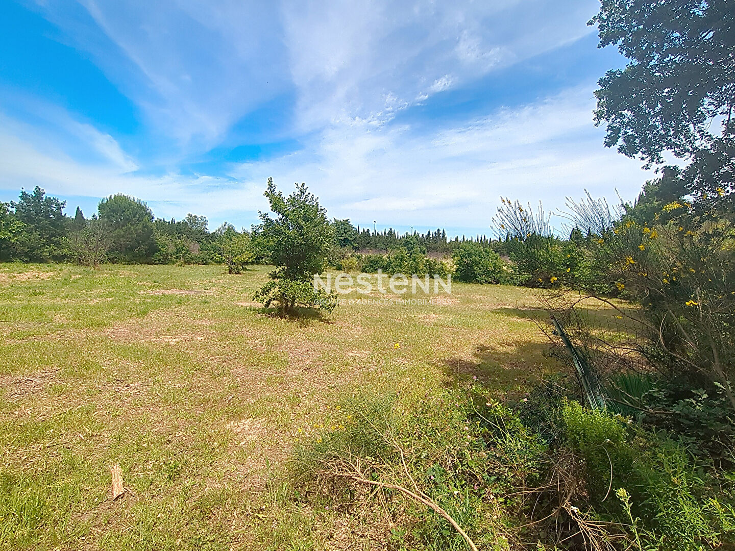 Agence immobilière de Nestenn PERPIGNAN - NESTENN SAINT GENIS DES FONTAINES