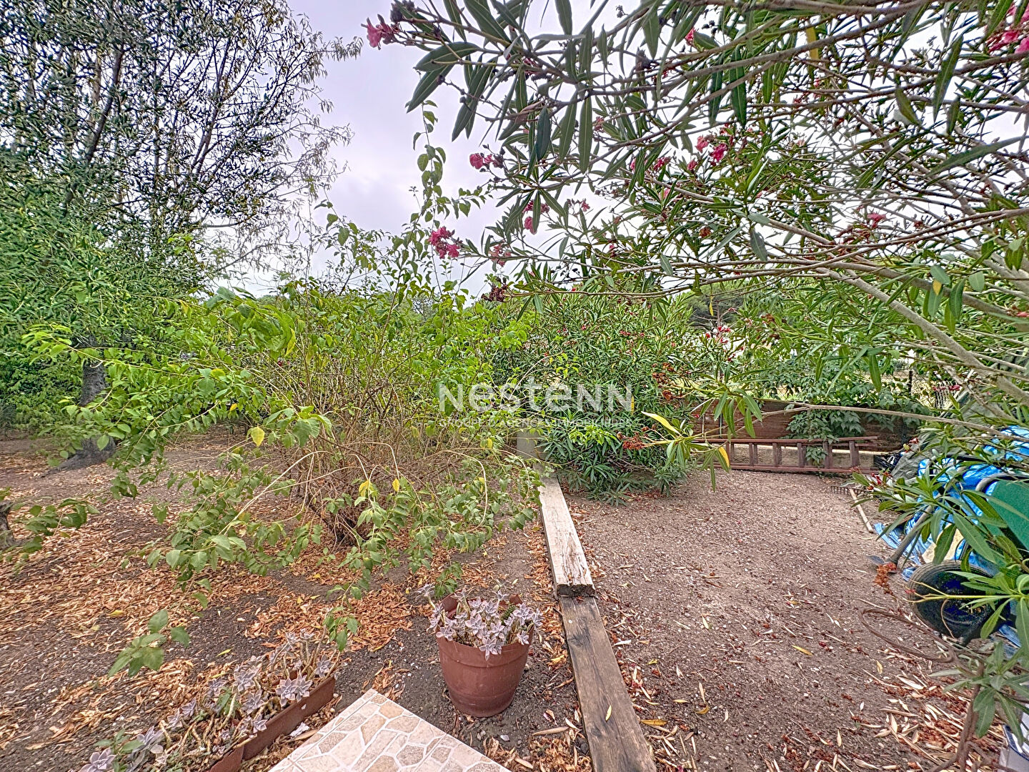 Photo Maison rénovée avec goût Quartier calme et recherché  Argelès sur mer image 6/6