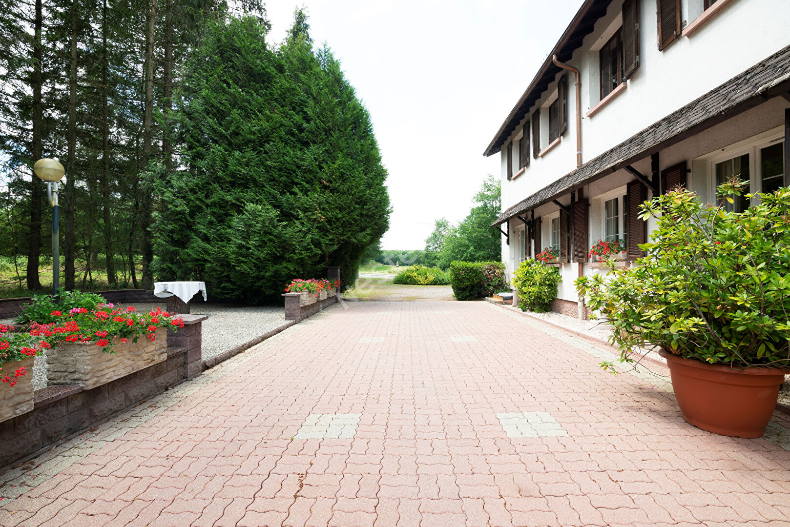 Photo Domaine forestier Longeville Les Saint Avold 720 m2 image 3/6