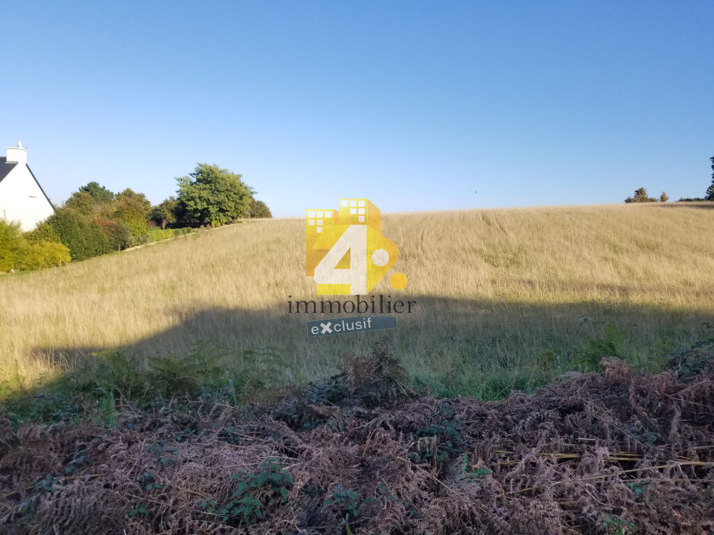 Photo Terrain Severac 1040 m2 image 2/2