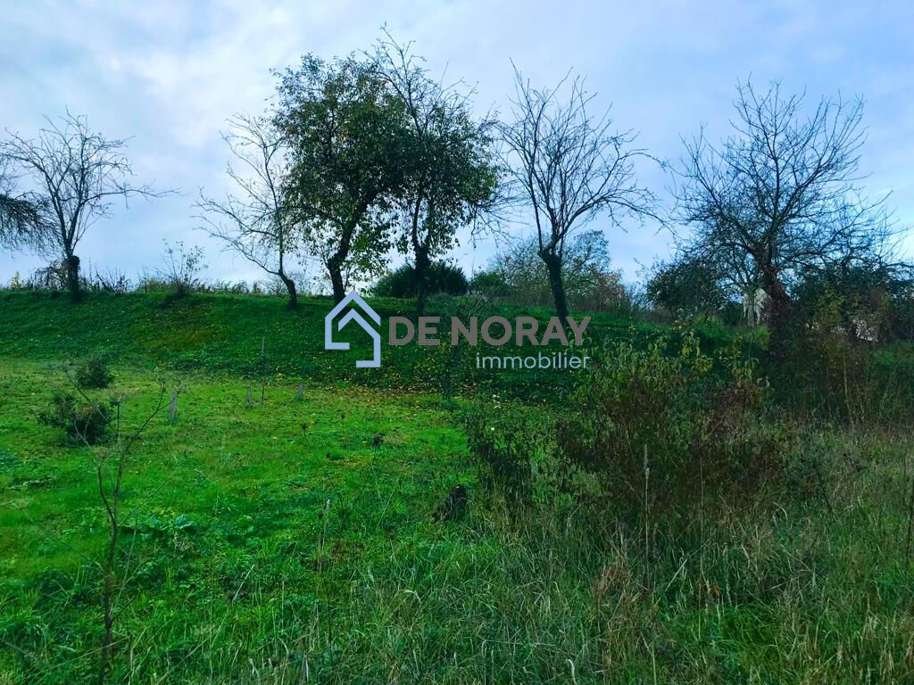 Agence immobilière de DE NORAY IMMOBILIER