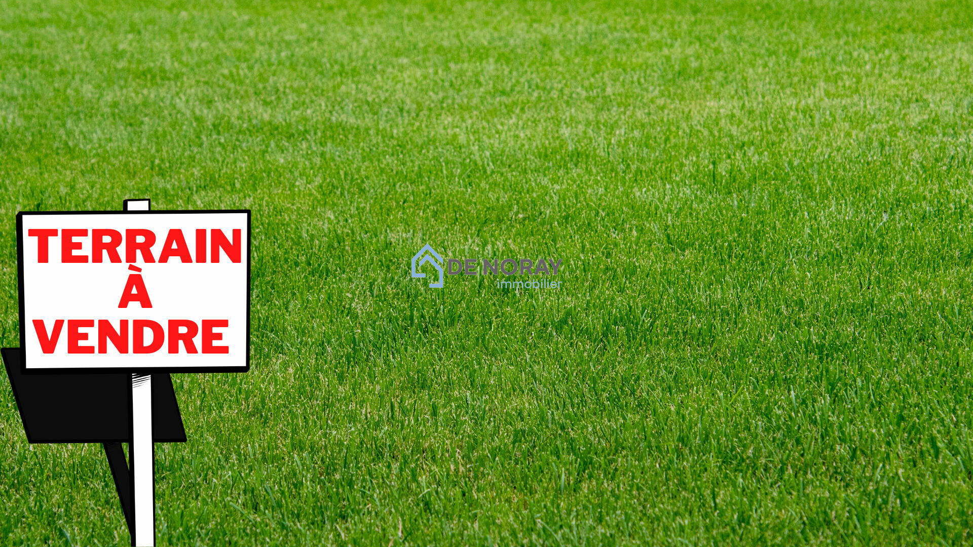 Agence immobilière de DE NORAY IMMOBILIER