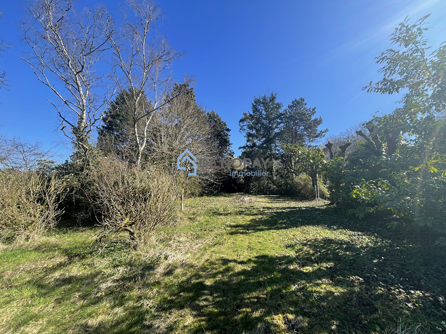 Photo Maison bourgeoise centre st ouen les vignes image 4/6