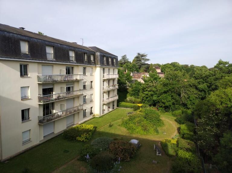 AMBOISE Centre - Appartement T2 de 55M2 - cave et place de p