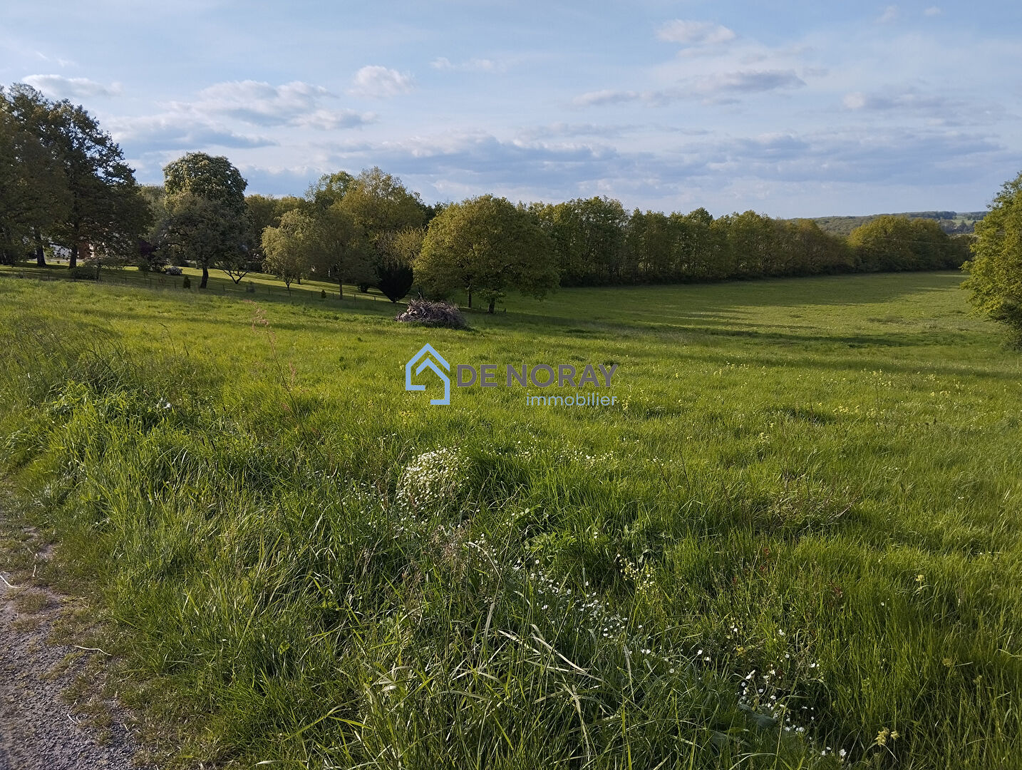 Agence immobilière de DE NORAY IMMOBILIER