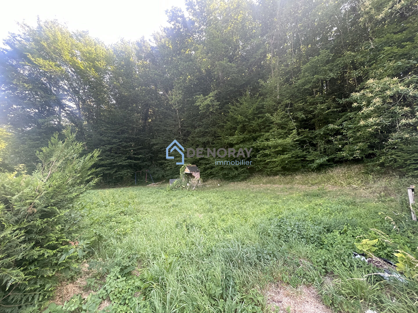 Photo Maison avec gîte et appartement en location image 4/6