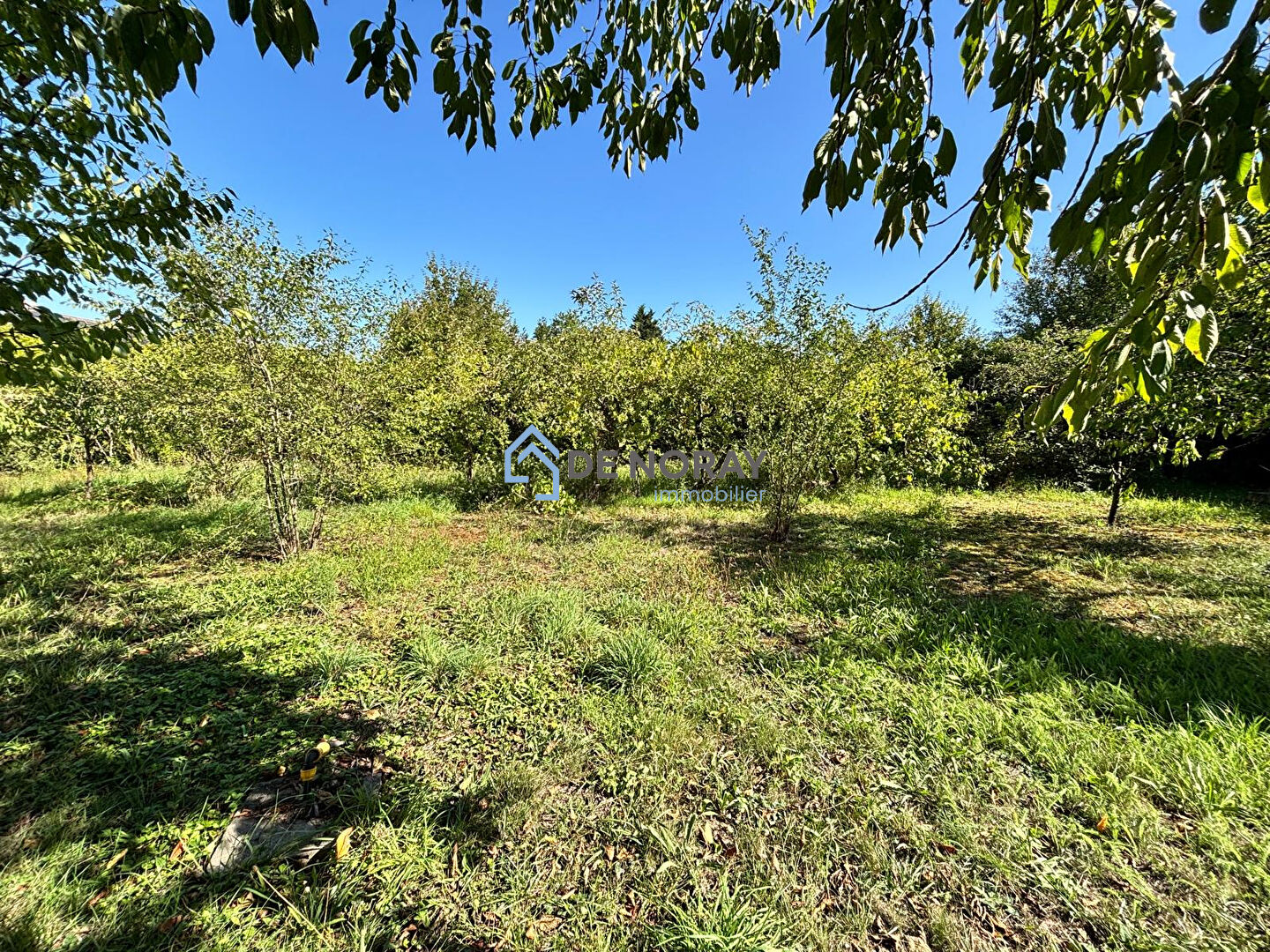 Agence immobilière de DE NORAY IMMOBILIER