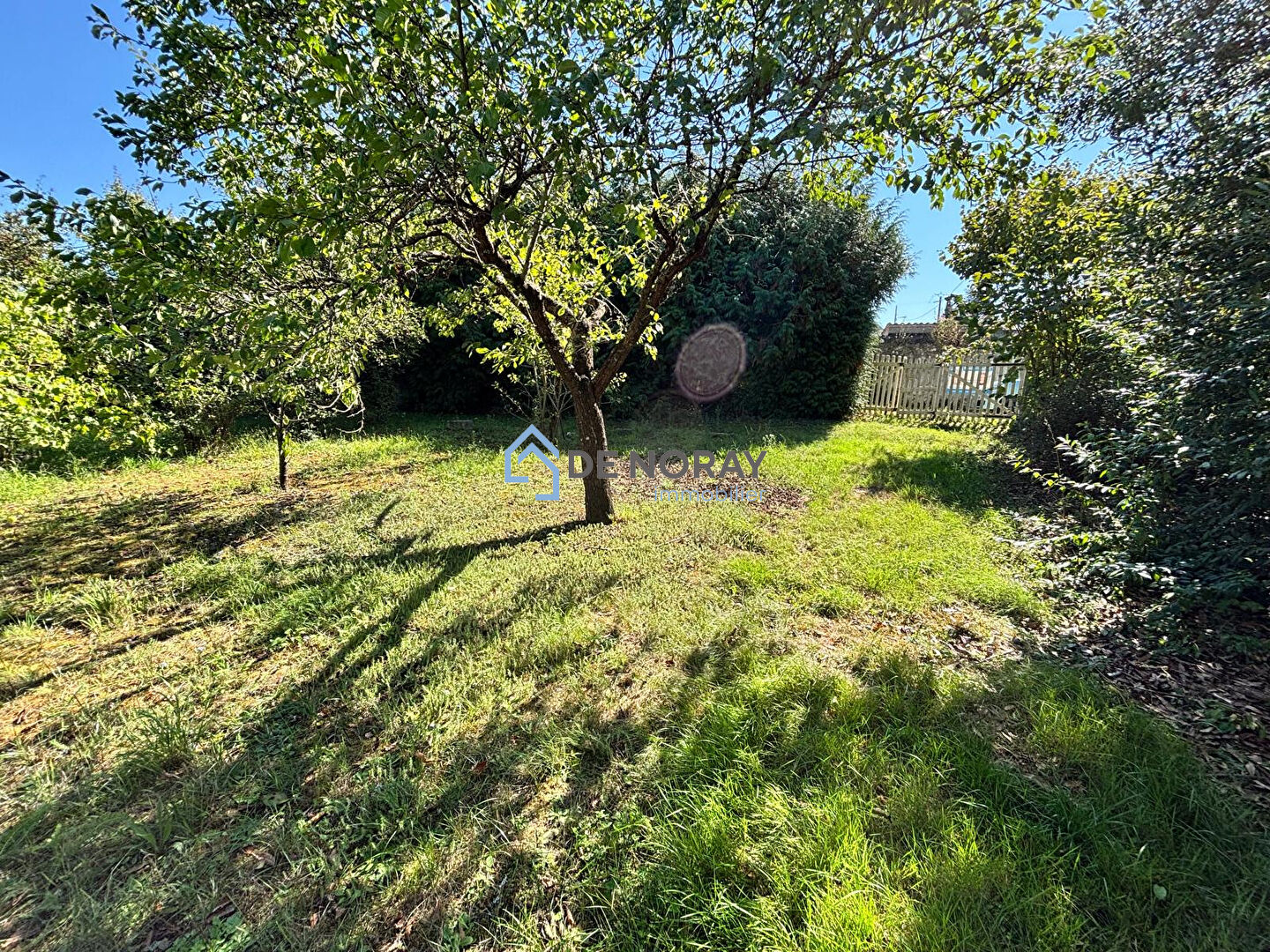 Photo Terrain plat et arboré image 2/3