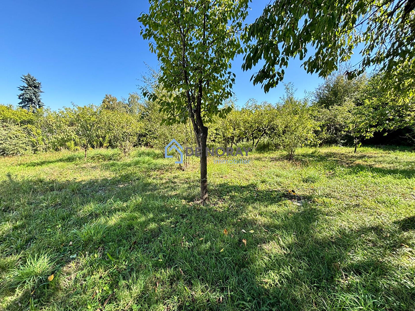 Photo Terrain plat et arboré image 3/3