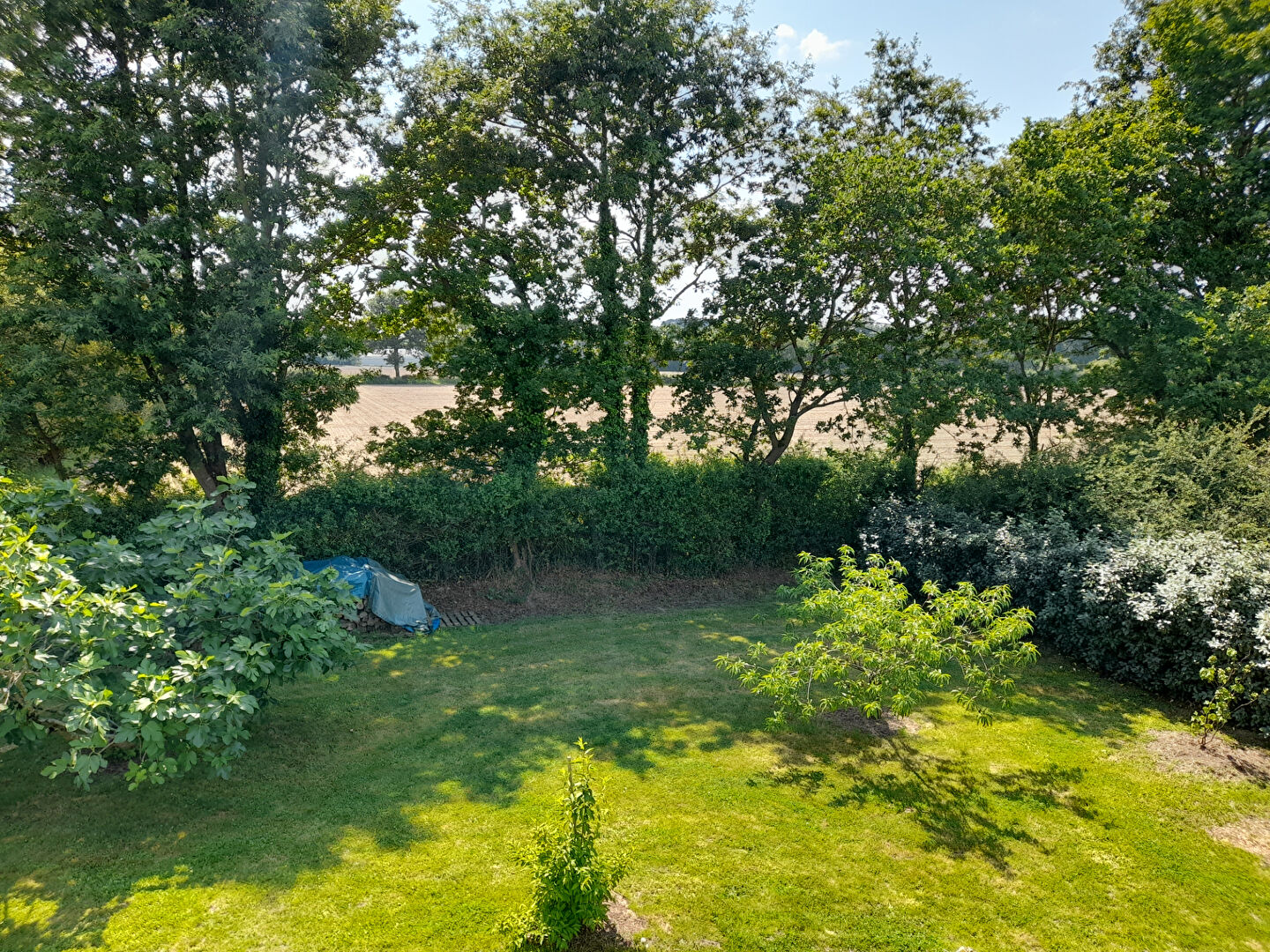 Photo Maison Mesquer 5 pièce(s) image 5/6