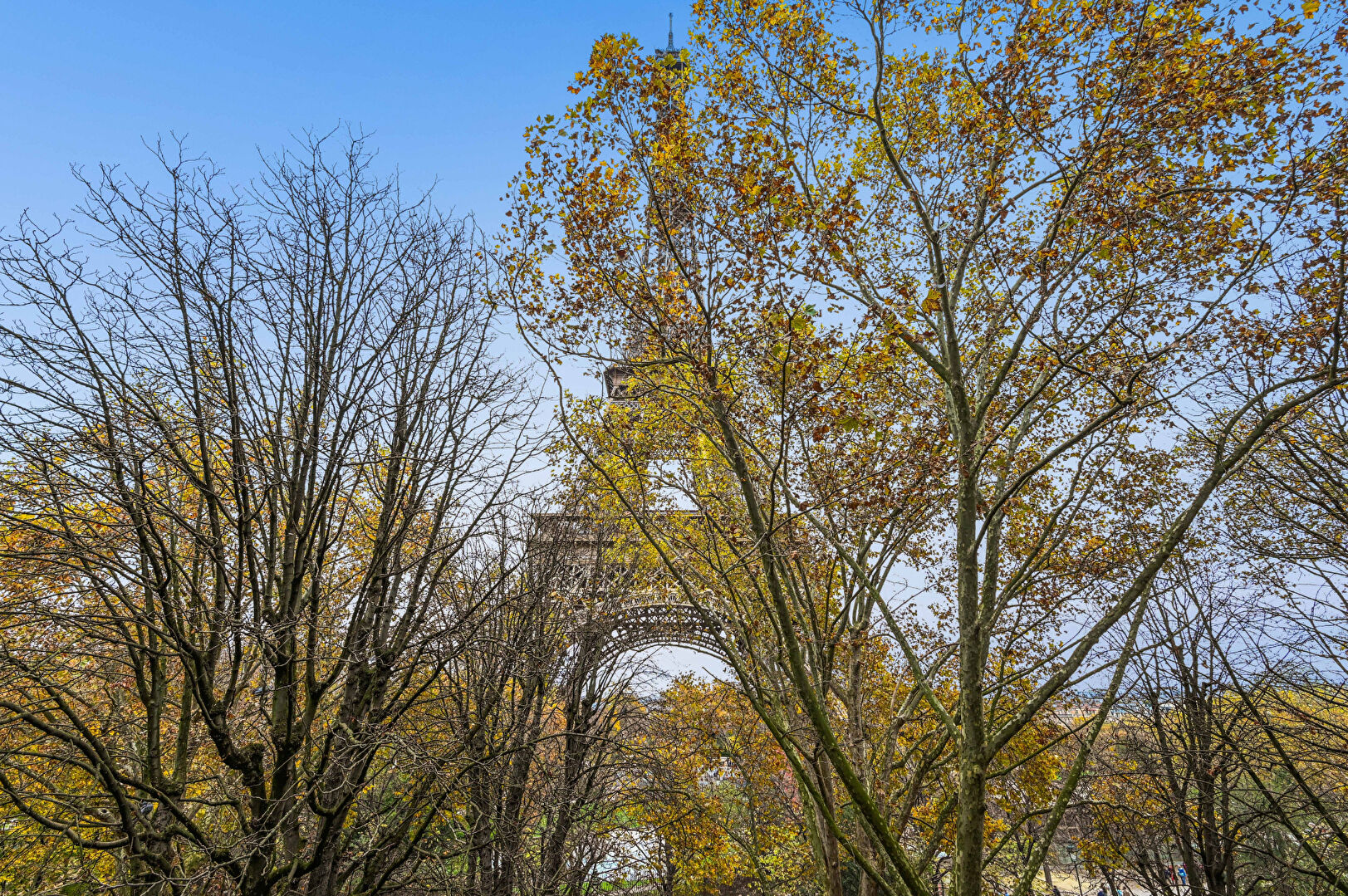 Photo EXCLUSIVITÉ  - Paris 7e  - Champ de Mars - Vue Tour Eiffel - 5 P image 4/6