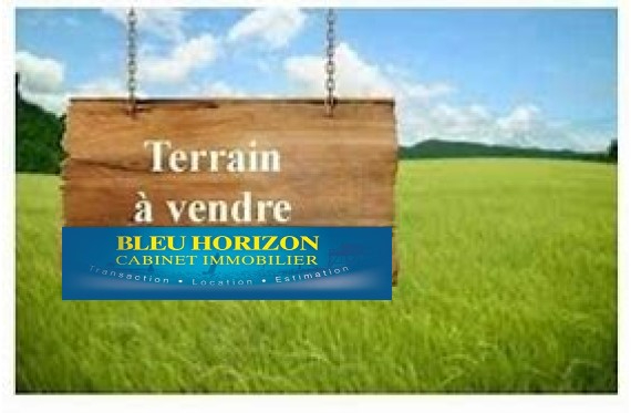 Agence immobilière de BLEU HORIZON CABINET IMMOBILIER - BLEU HORIZON CABINET IMMOBILIER SAINT-PERE-EN-RETZ