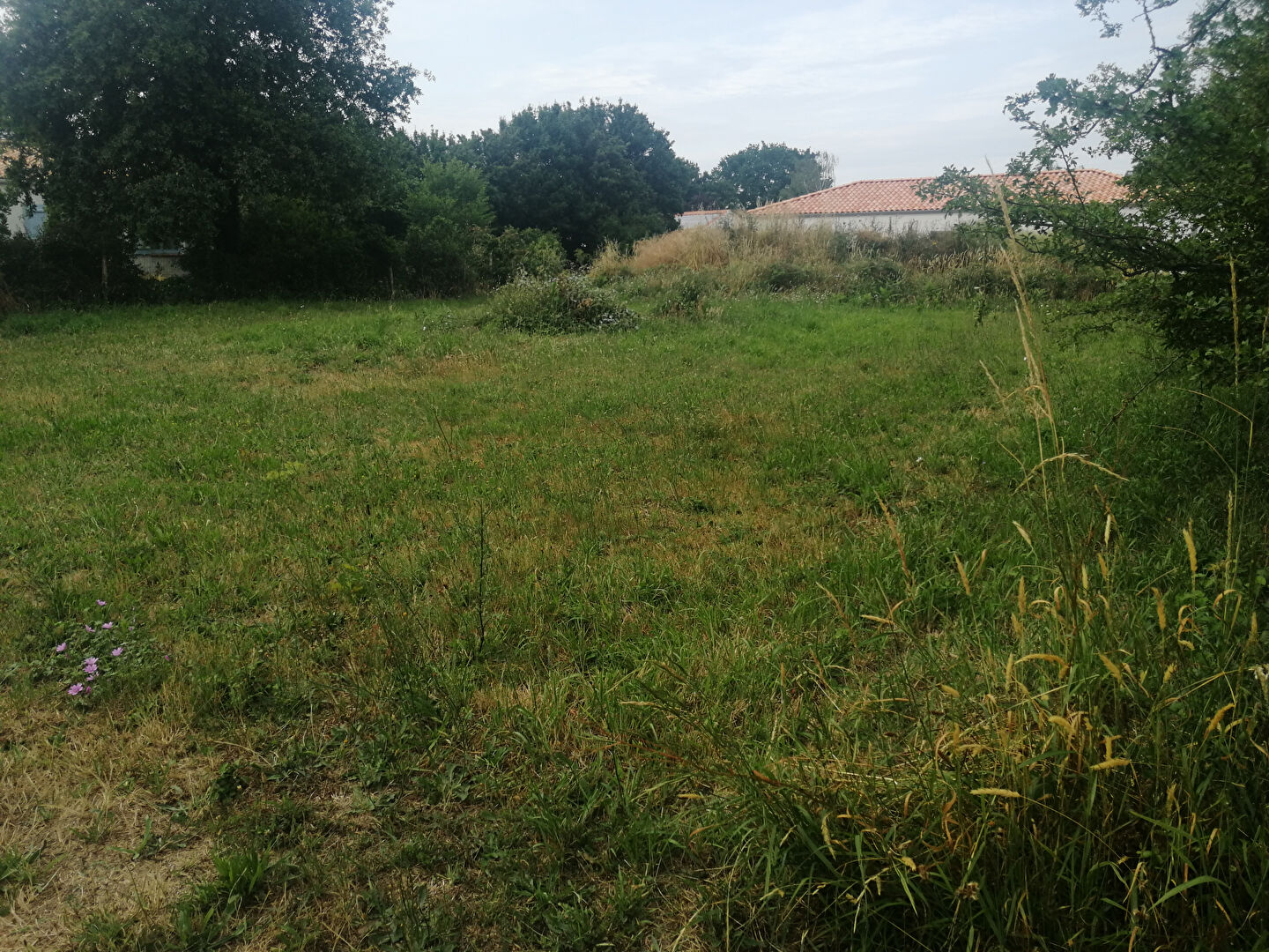 Photo Terrain Chaumes En Retz 586m² image 2/3