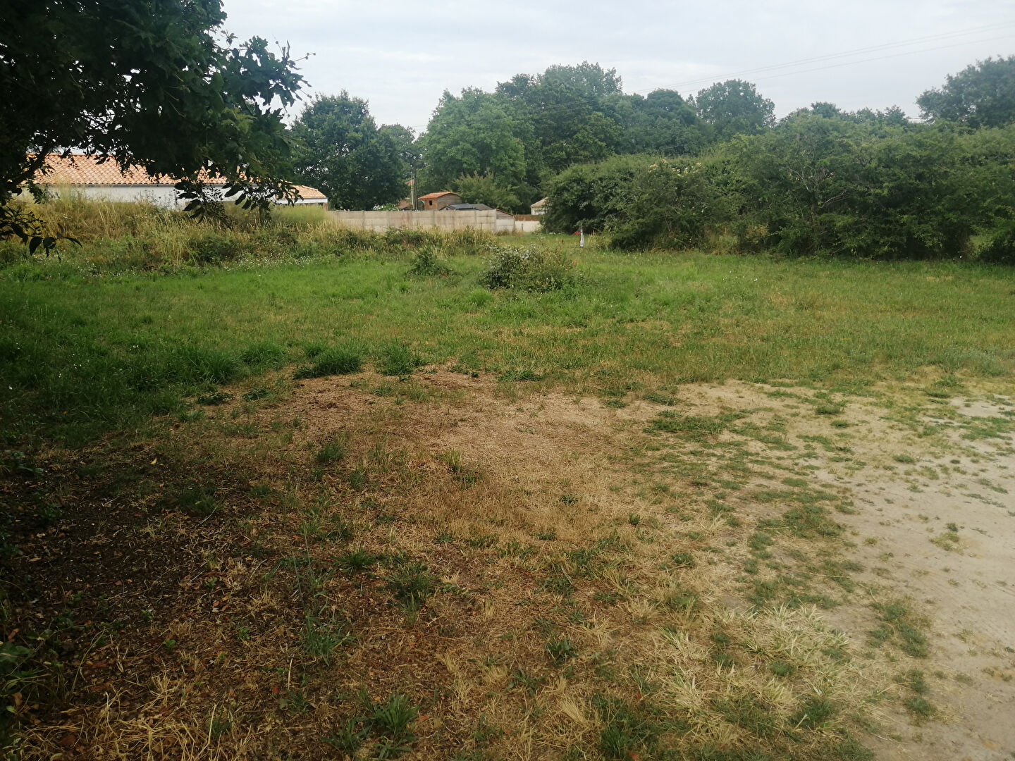 Photo Terrain Chaumes En Retz 586m² image 3/3