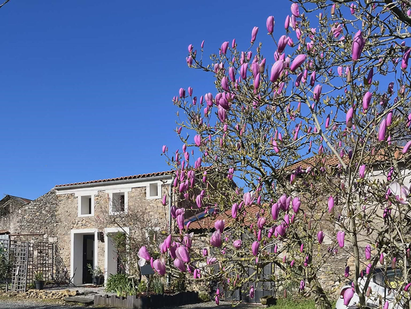 Agence immobilière de BLEU HORIZON CABINET IMMOBILIER - BLEU HORIZON CABINET IMMOBILIER SAINT-PERE-EN-RETZ