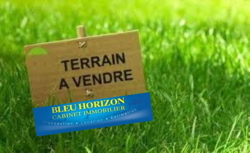 Agence immobilière de BLEU HORIZON CABINET IMMOBILIER - BLEU HORIZON CABINET IMMOBILIER SAINT-PERE-EN-RETZ