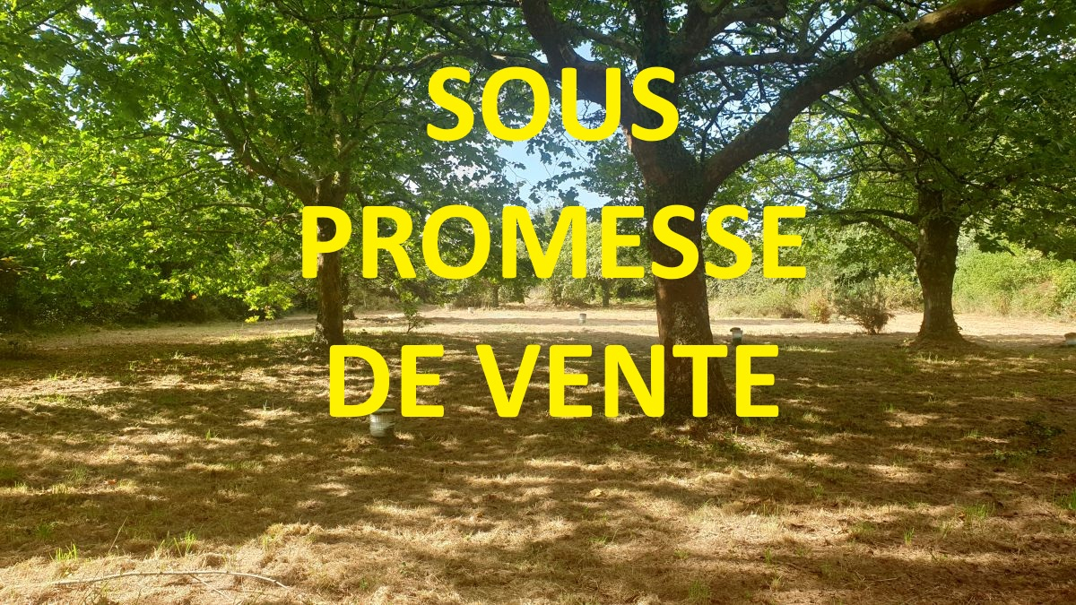 Agence immobilière de BLEU HORIZON CABINET IMMOBILIER - BLEU HORIZON SAINT MICHEL CHEF