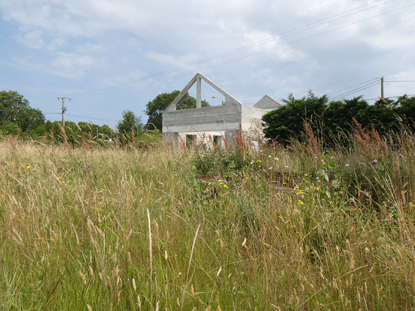 Photo A 2,5 km de Saint Brévin les Pins image 5/5