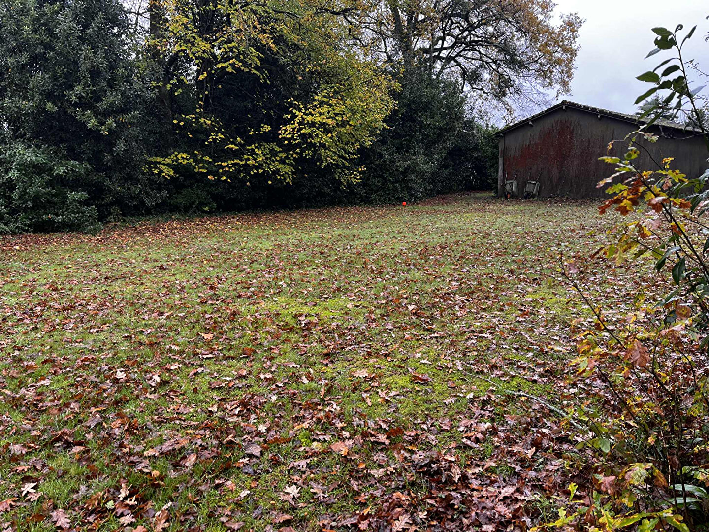 Photo Terrain constructible de 306m2 à Bouaye image 2/2