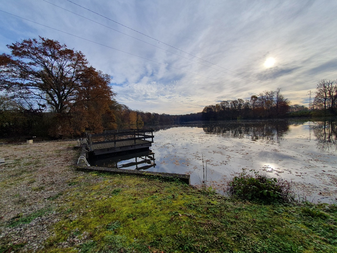 Etang de 7.5HA entre Lure et Luxeuil
