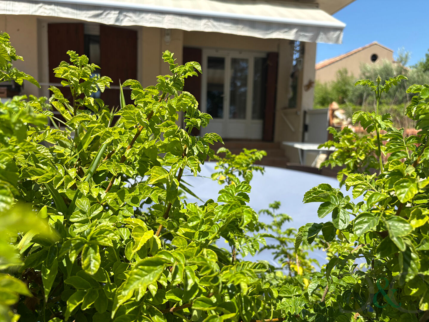 Agence immobilière de Cellier ,  Coates Bormes les Mimosas