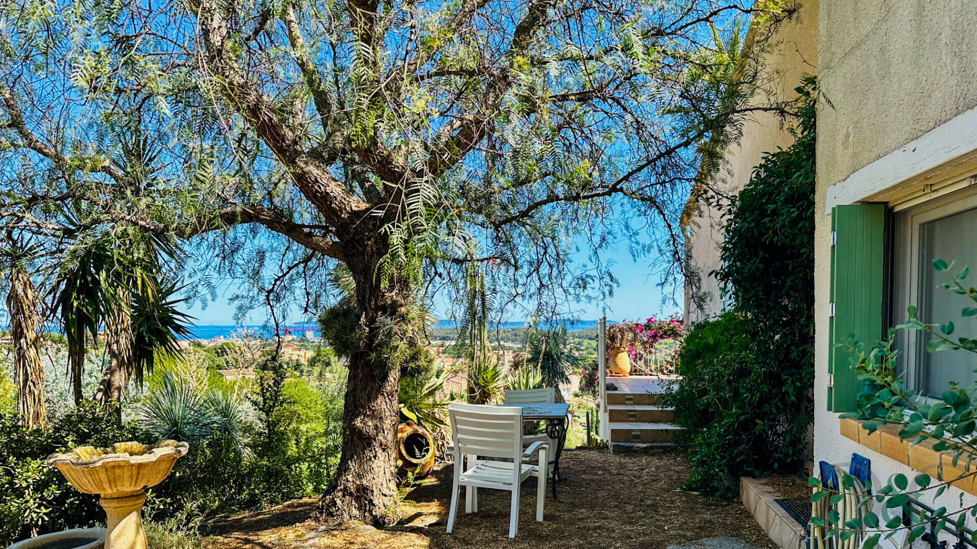 Agence immobilière de Cellier ,  Coates Bormes les Mimosas