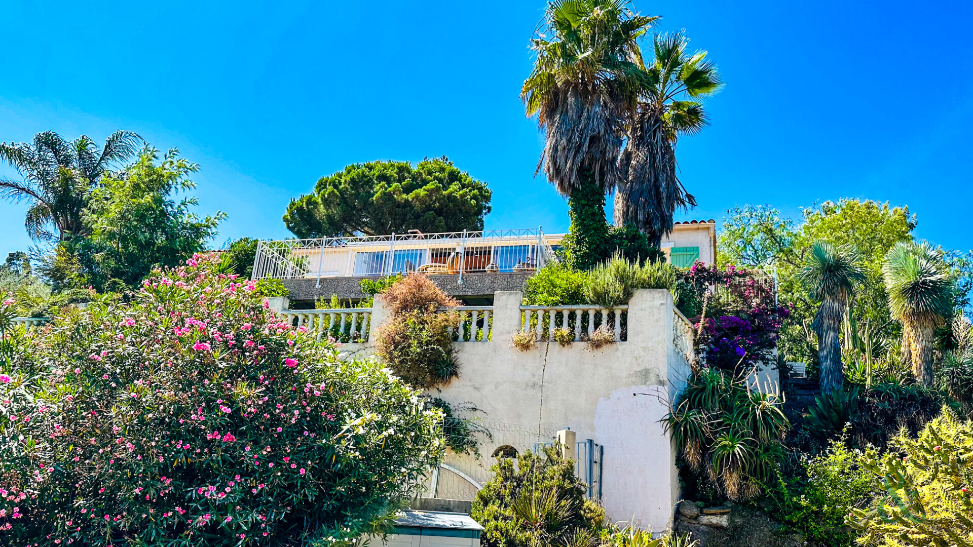 Agence immobilière de Cellier ,  Coates Bormes les Mimosas