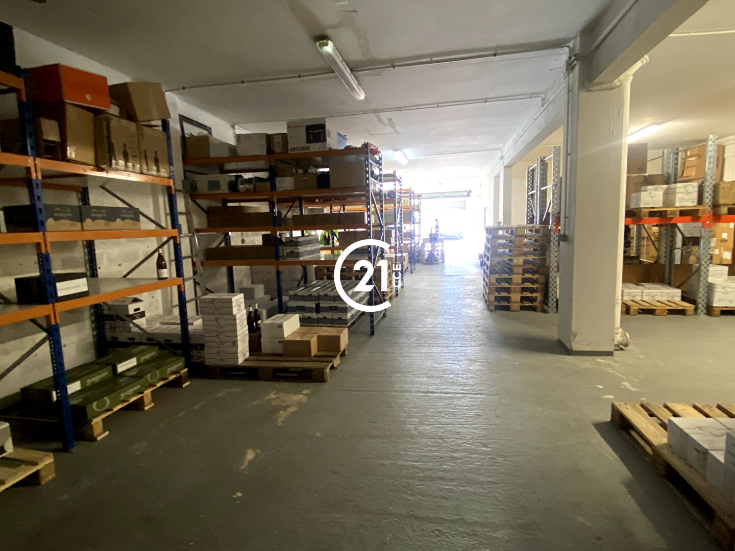 Entrepôt à louer - 239.0 m2 - 06 - Alpes-Maritimes