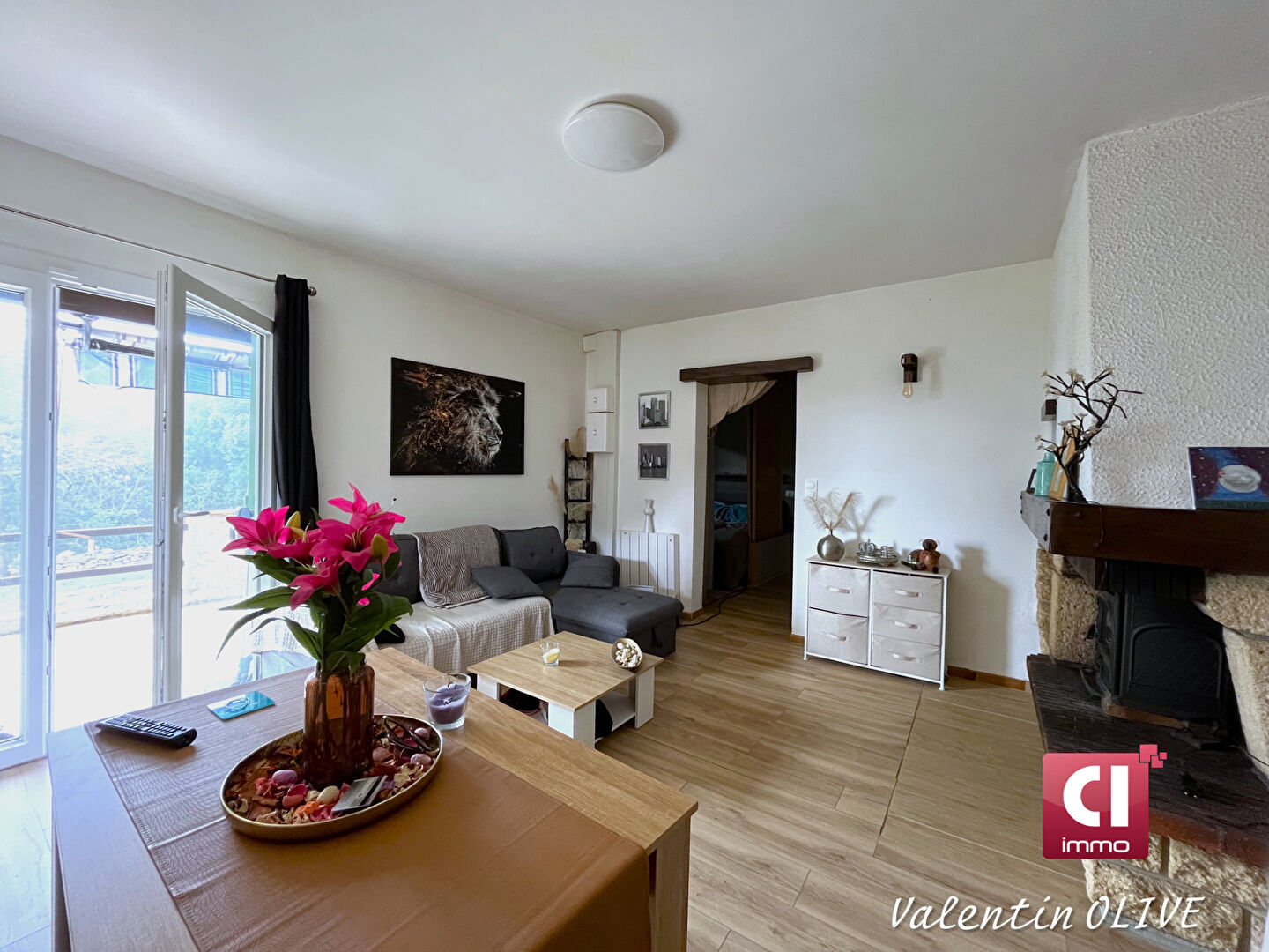 Agence immobilière de CI IMMO CONSULTING Gareoult - CI IMMO CONSULTING