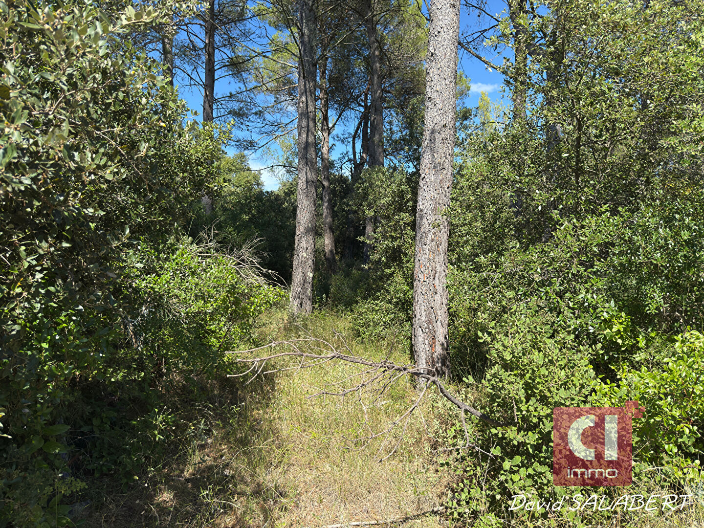 Terrain à vendre à Garéoult - Référence 2203