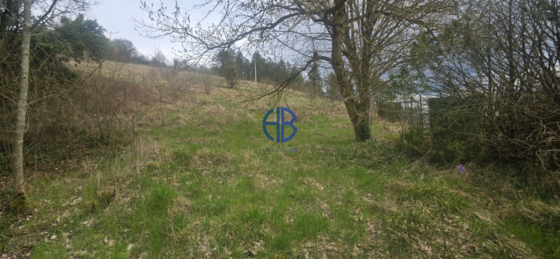 Terrain de 2 500 m² à Andryes (89480)