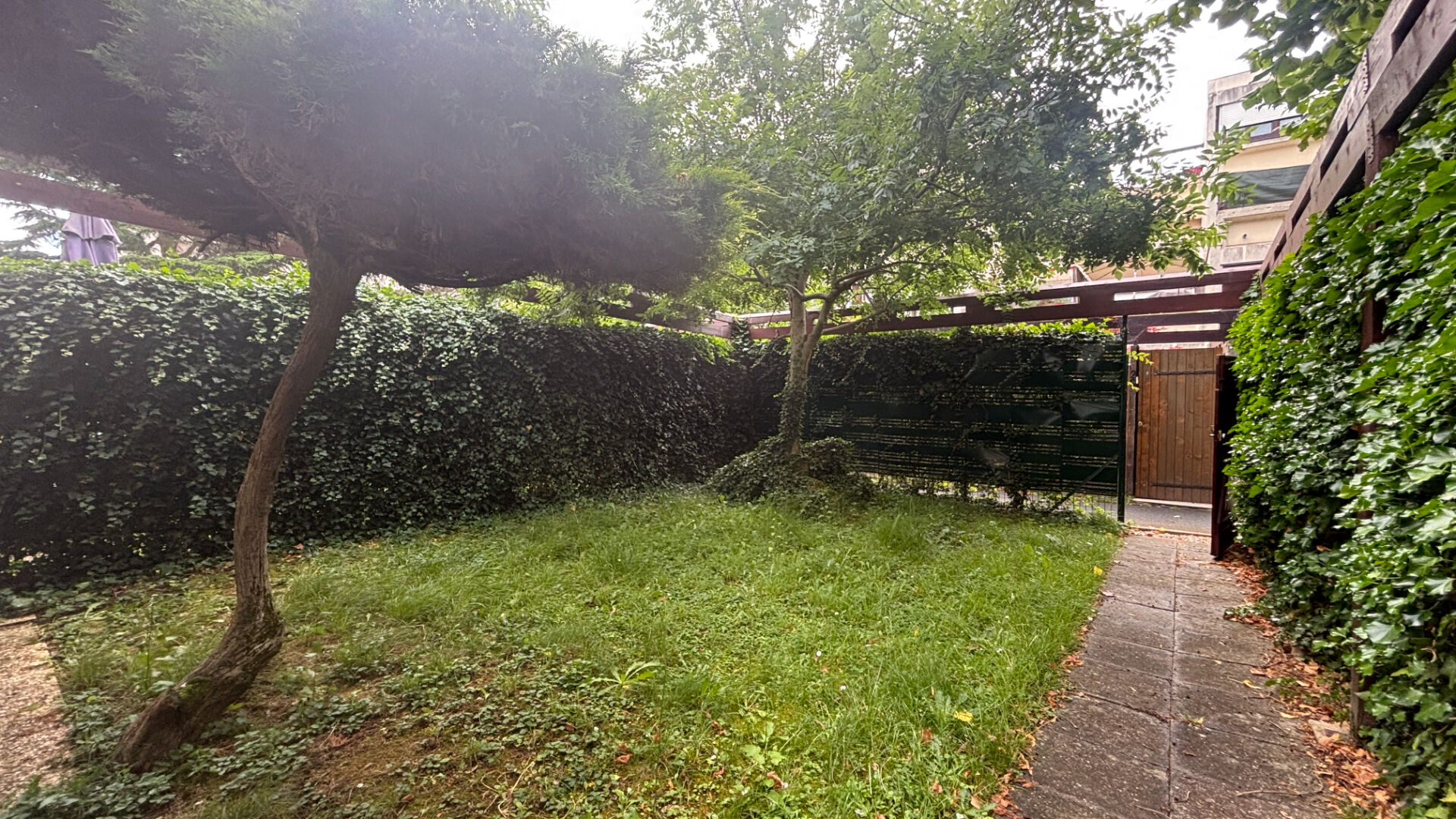 Photo STUDIO BIS AVEC CHAMBRE image 2/6