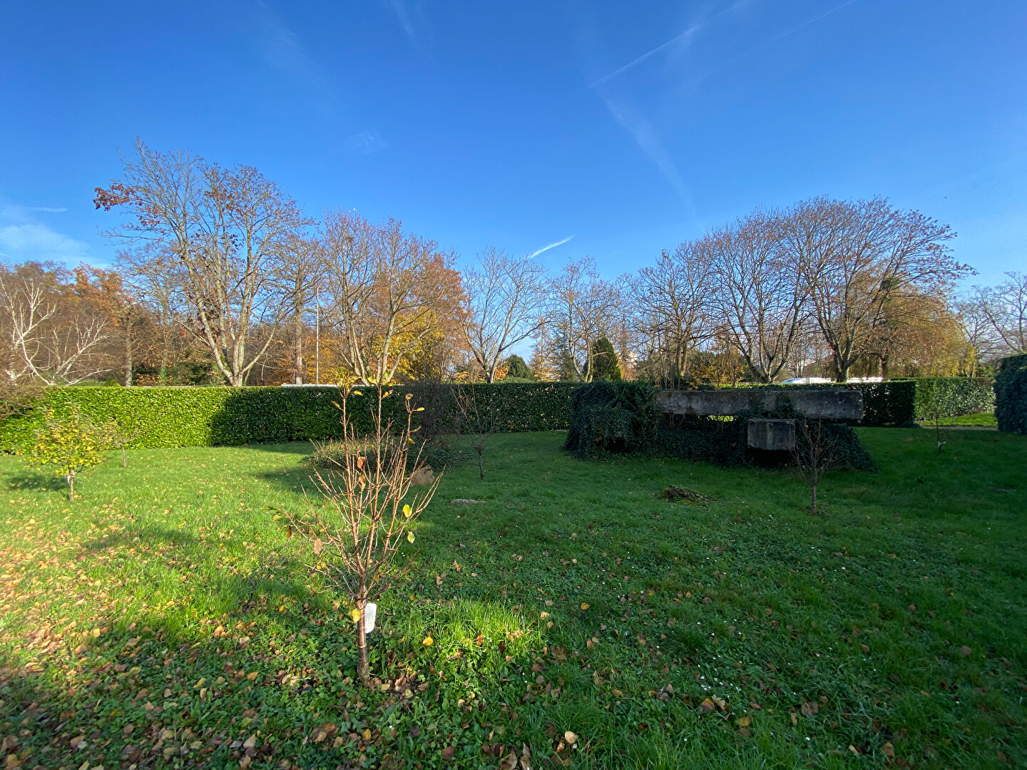 Photo Appartement Evry Courcouronnes 1 pièce(s) image 3/5