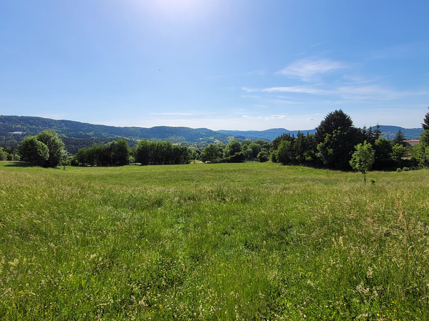 Opportunité à saisir: Terrain à bâtir Arsac En Velay 3007 m2