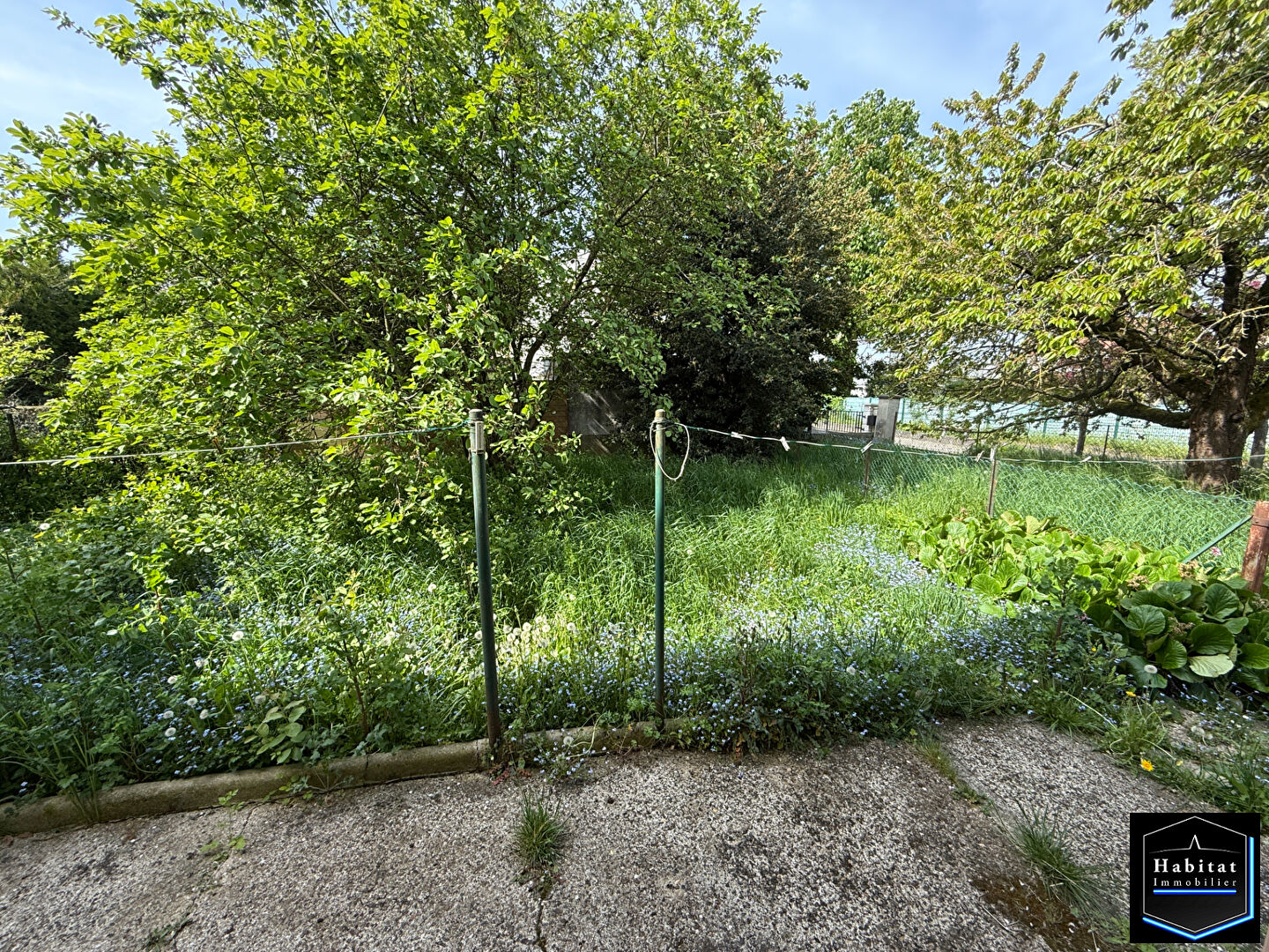 Photo Maison Le Plessis Belleville 4 pièce(s) 70 m2 image 6/6