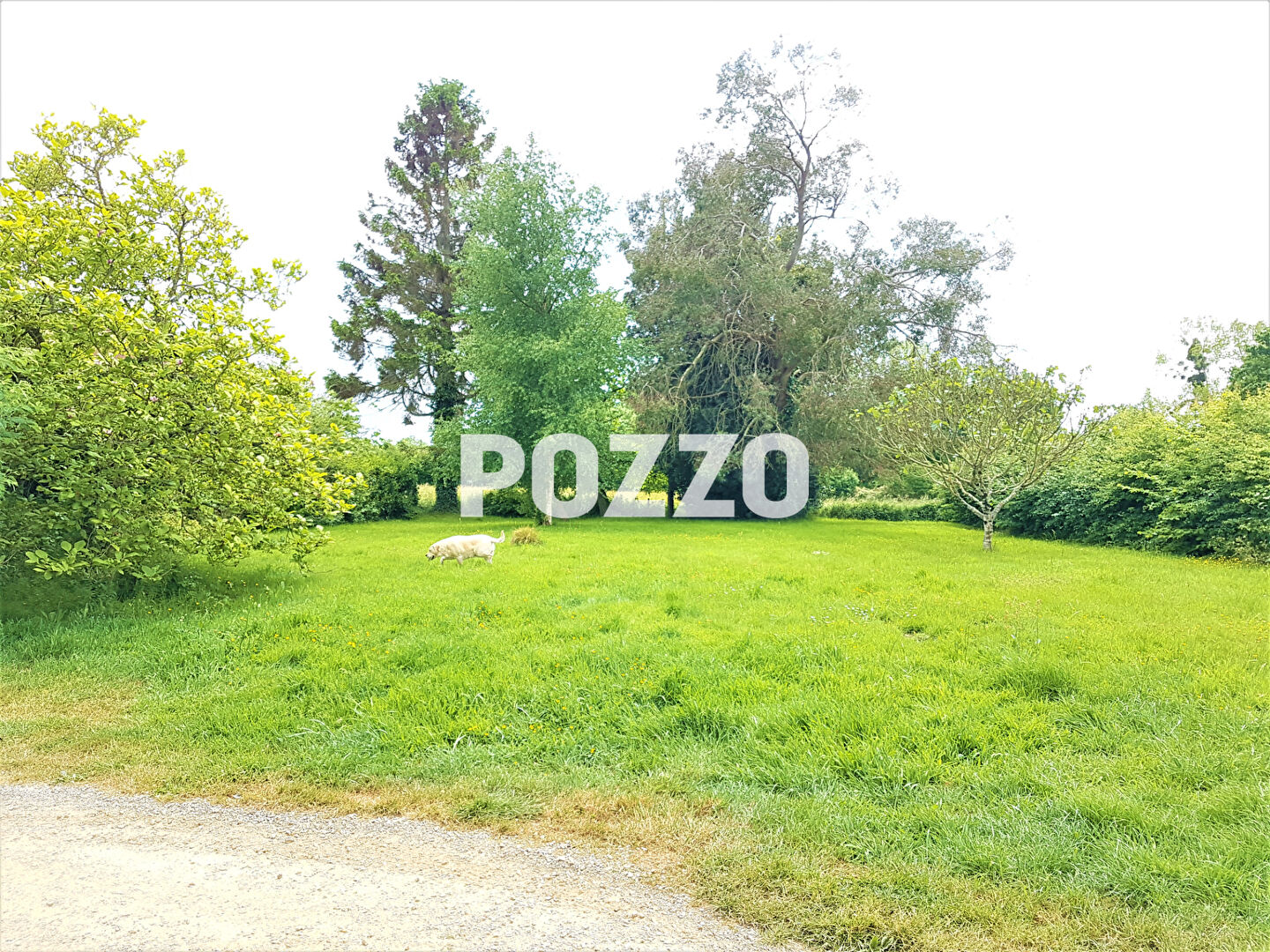 Photo Ancienne ferme et terrain constructible à vendre à COUDEVILLE SUR MER image 4/6