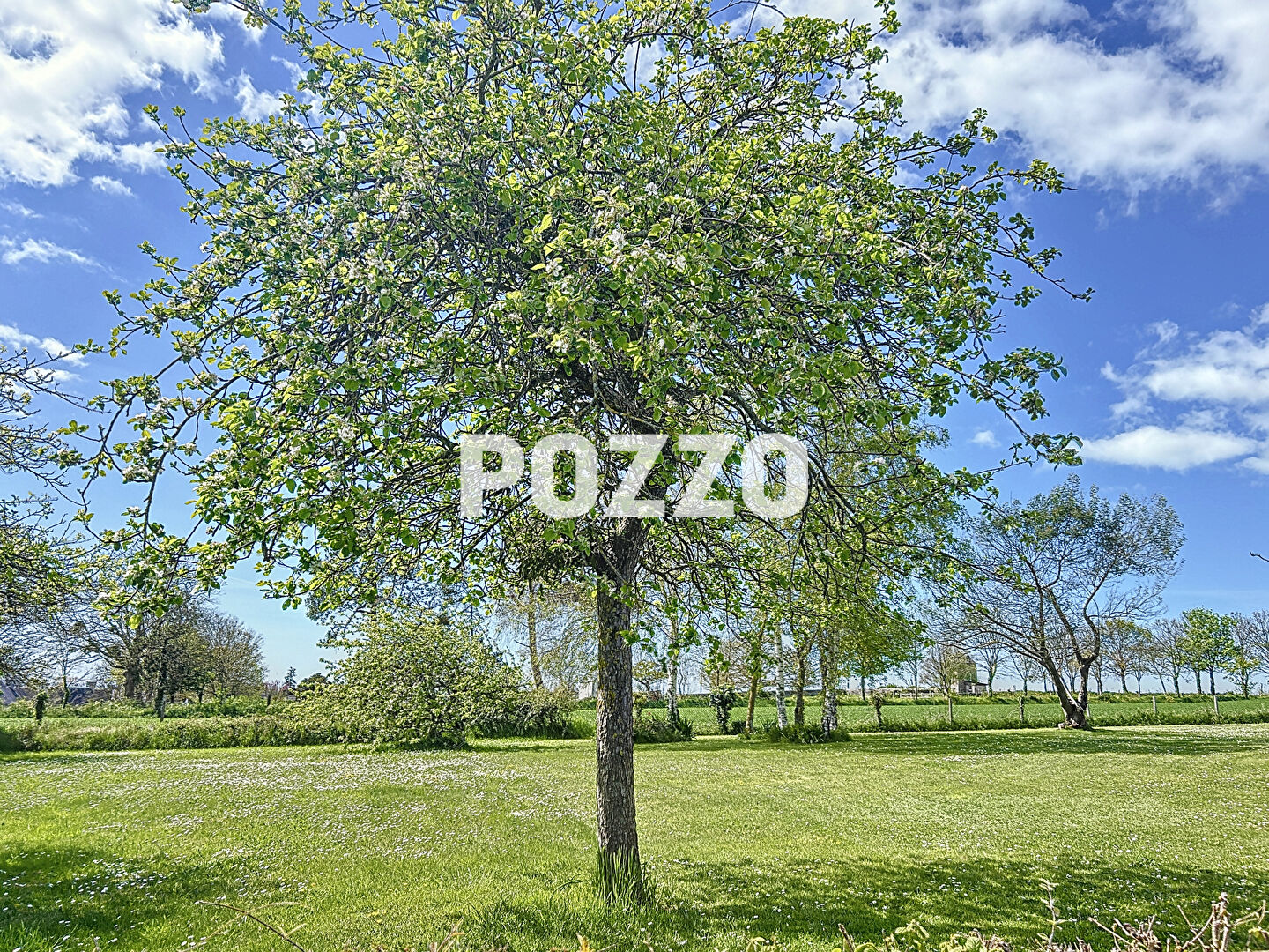 Photo Maison 6 pièces (189 m²) à vendre à HAUTEVILLE SUR MER - à proximité de la plage image 3/6